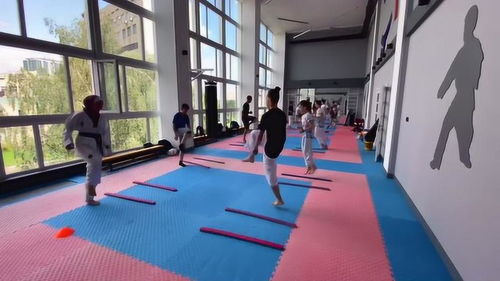 国外道馆的热身训练