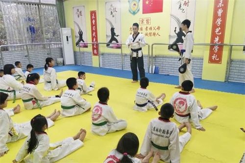 林轩跆拳道馆加盟优势 打造专业与品牌共赢的创业平台