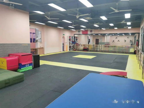 重磅消息 庆元跆拳道馆曝出惊人内幕