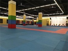 东莞运动健身馆 跆拳道馆的魅力与选择指南