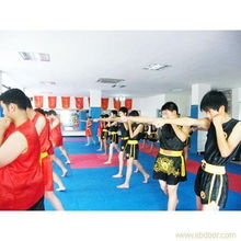 义乌精英跆拳道 强身健体，铸就非凡人生