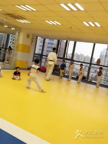 精英跆拳道馆 初学者的理想起点