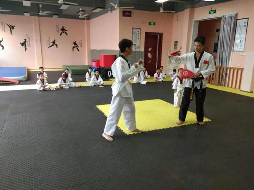 庆元某跆拳道馆被曝长期违规教学，安全乱象触目惊心