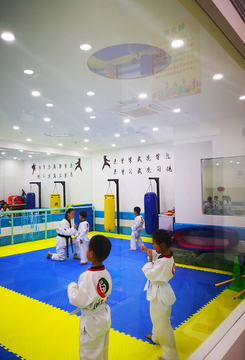 跆拳道馆 力量、礼仪与成长的殿堂