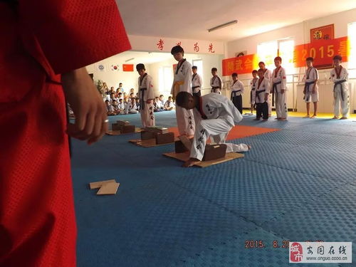 精武会跆拳道馆 传承武道精神，塑造健康体魄——常年招生进行中