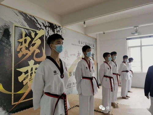 破茧成蝶，礼赞荣耀——祝贺明道汇跆拳道馆学子荣升黑带品位