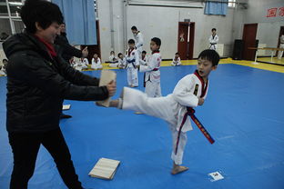 蒙城韩泰跆拳道馆 传承武道精神，塑造卓越品格