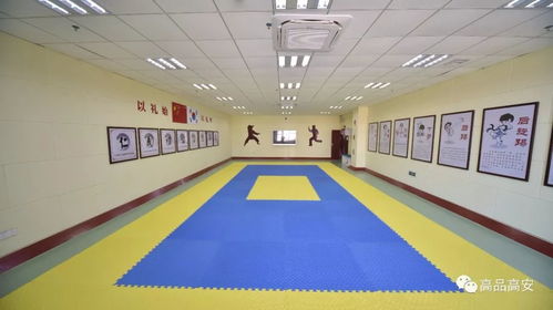 高安“两宫两馆”内部图曝光，跆拳道馆尽显高端现代风采